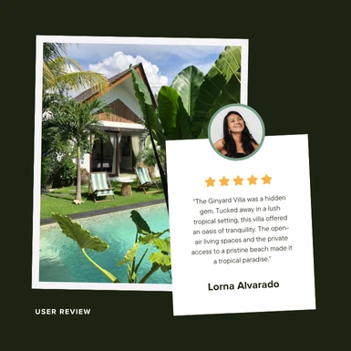 Google Travel Review Example