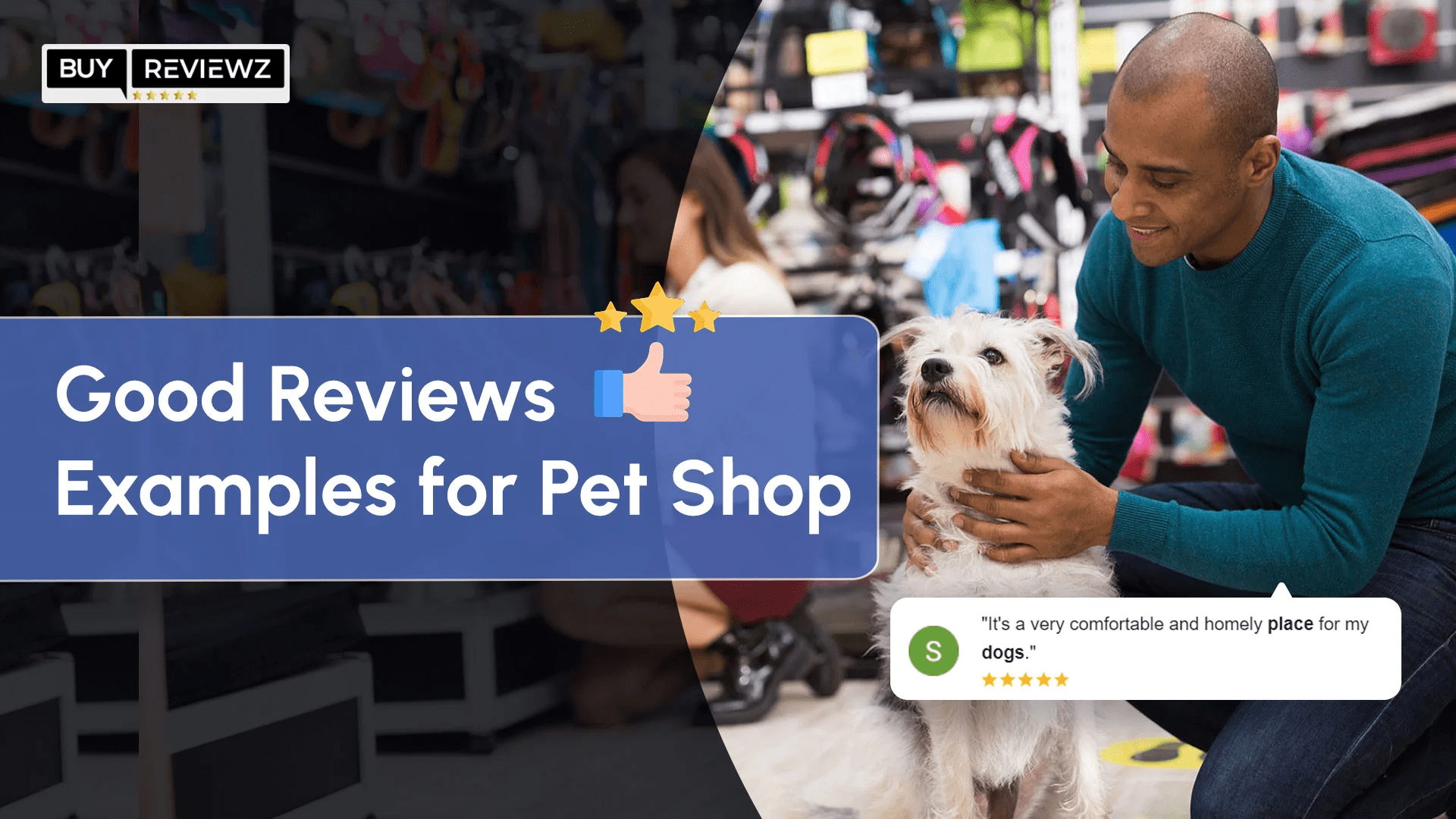 Buy pet store best sale