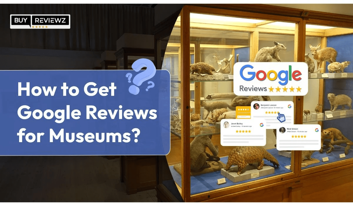 How To Get Google Reviews For Museum