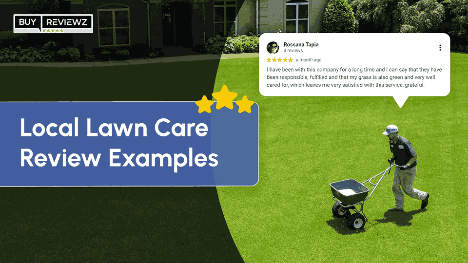 Local Lawn Care Review Examples