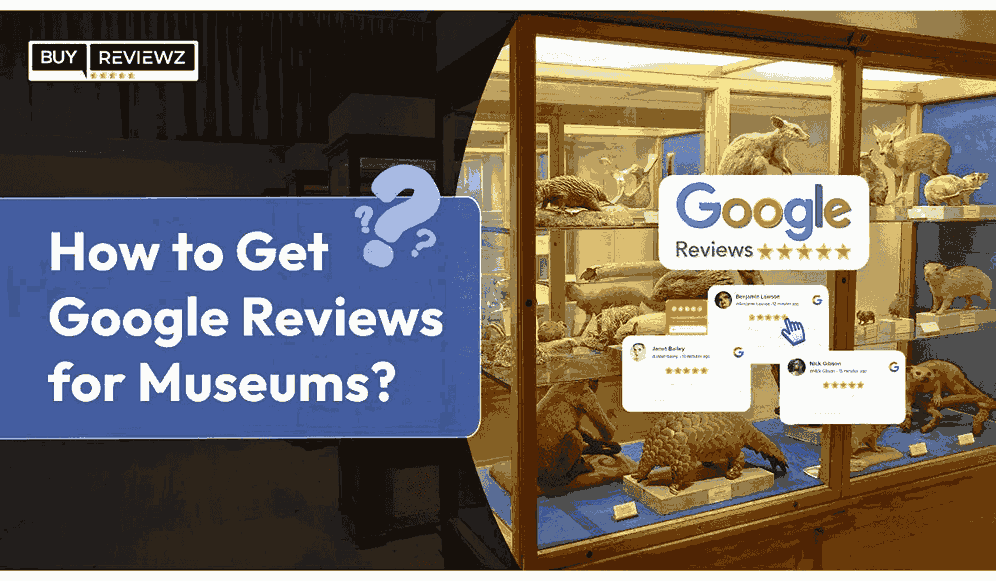 How To Get Google Reviews For Museum?